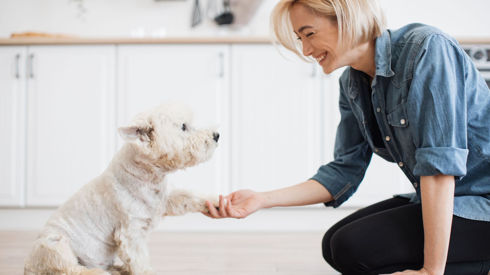 woman teaching dog trick