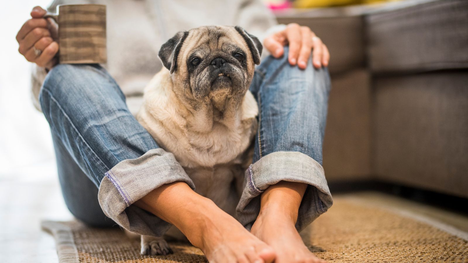 woman with old pug dog