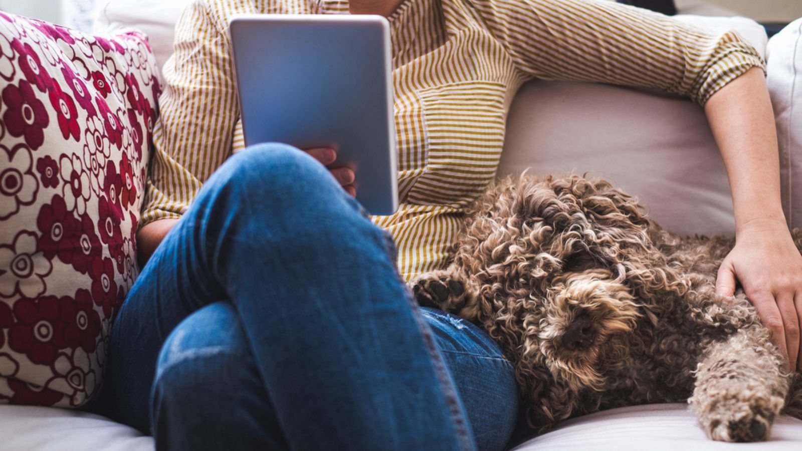 photograph of woman reading news with her dog