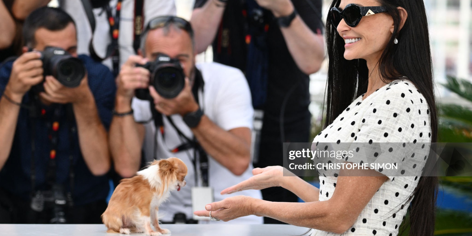 Demi Moore and her dog Pilaf on the red carpet