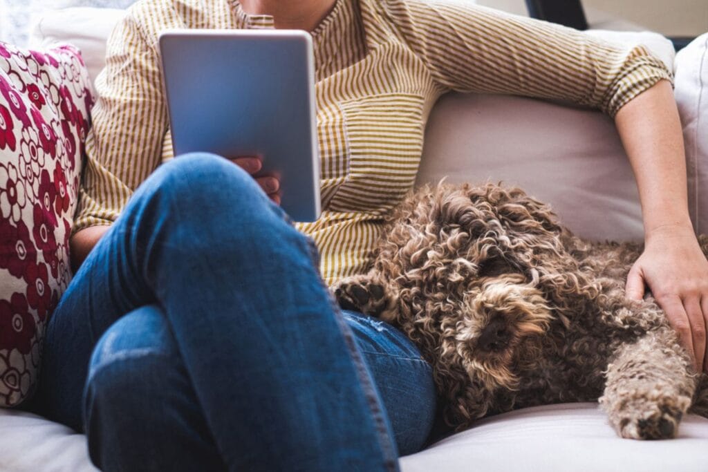 dog-eared-header – Dogish Person reading on couch with small curly-haired dog - representing the cozy experience of Dog-Eared curated content